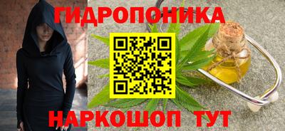 молекула духа Камень-на-Оби