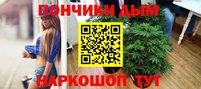молекула духа Камень-на-Оби