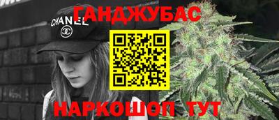 молекула духа Камень-на-Оби