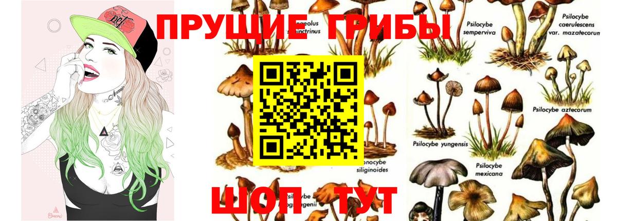 Псилоцибиновые грибы Magic Shrooms  Вход с VPN  Будённовск 