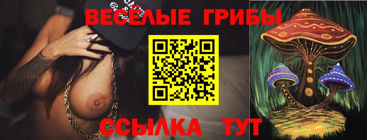 Псилоцибиновые грибы Psilocybine cubensis Будённовск